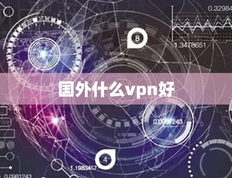 国外什么vpn好 国外什么vpn好